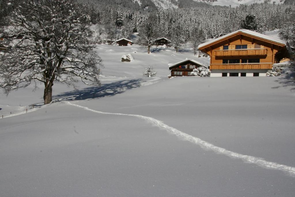 Chalet Baergbaechli 그린델발트 외부 사진