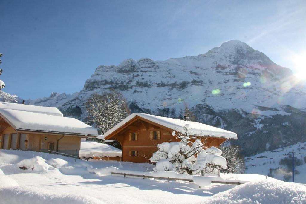 Chalet Baergbaechli 그린델발트 외부 사진